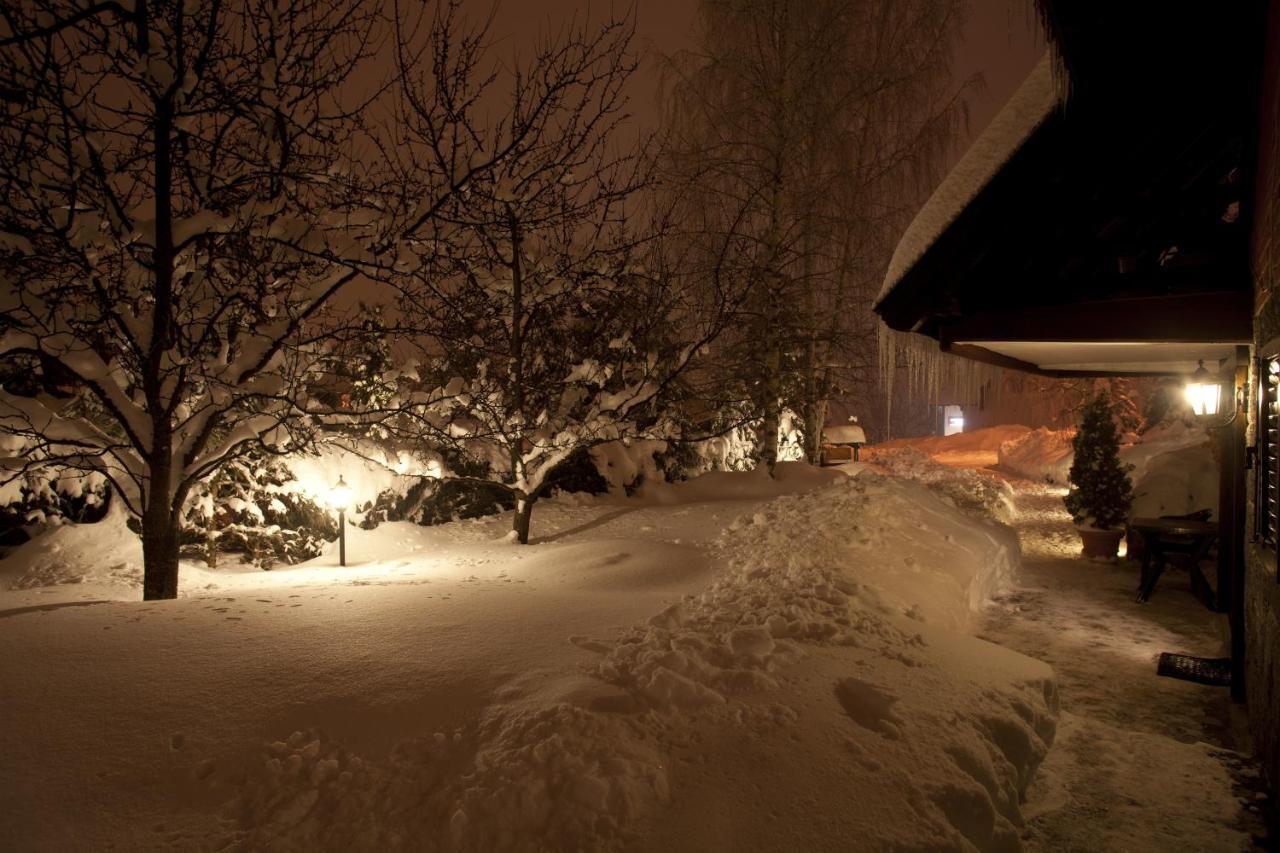 Villa Duric Superior Zlatibor Exterior photo